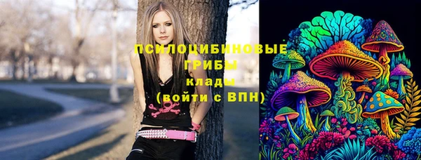 2c-b Волосово