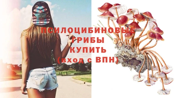 2c-b Волосово
