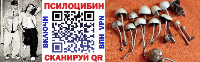 Галлюциногенные грибы прущие грибы  Купить закладки  Бодайбо 